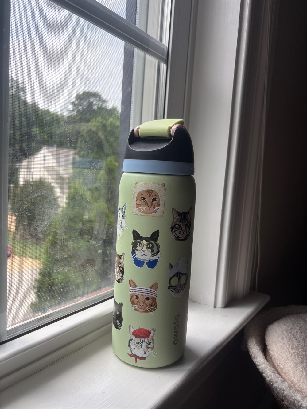 Owala Cat Print Stainless Water Bottle - Pastel Green - Picture 4 of 7